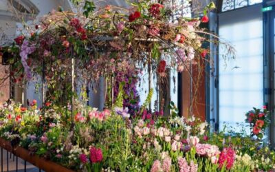Rekordbesuch beim Dresdner Frühling im Palais